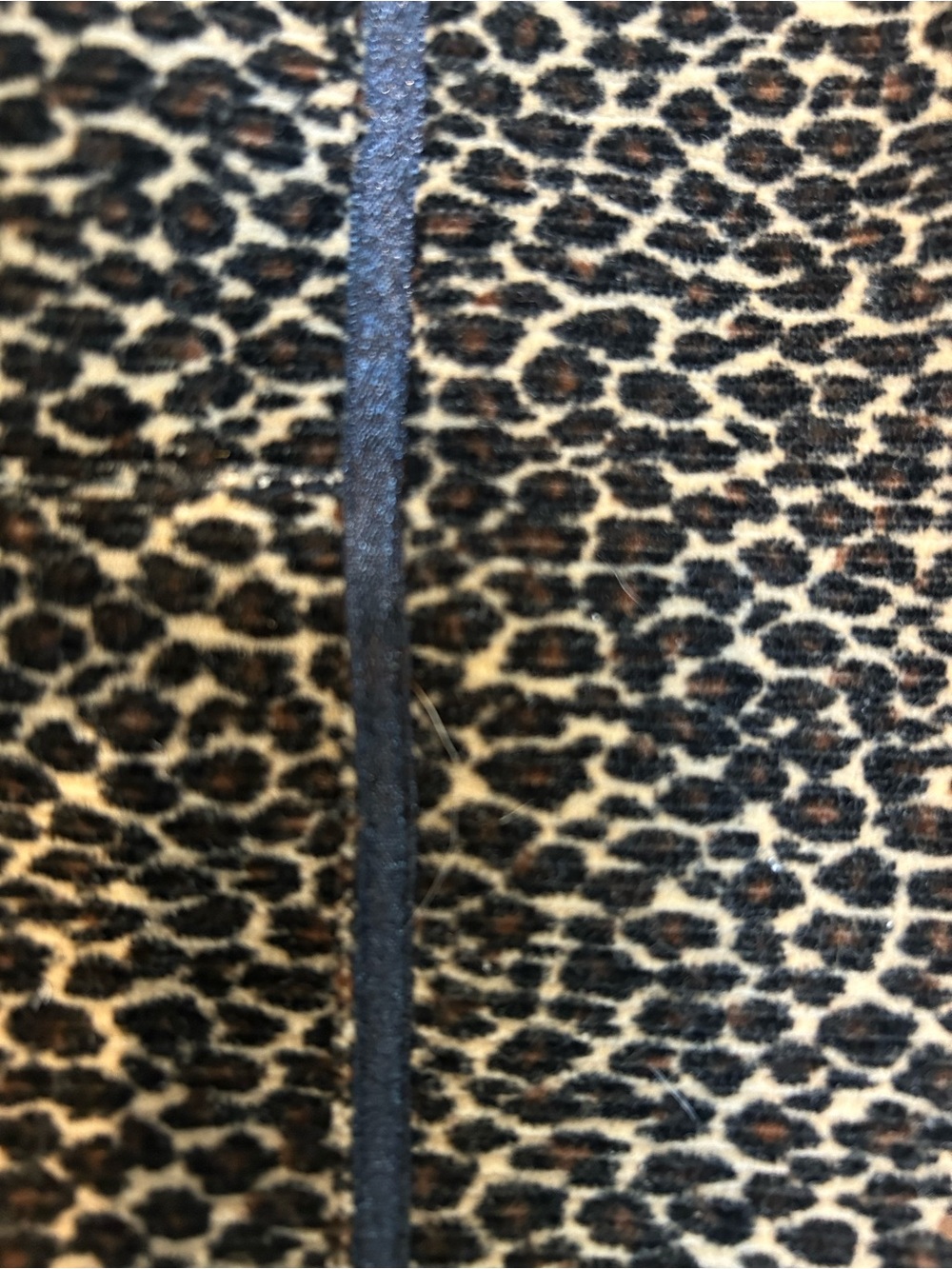 Amber Sun  leopard print jacket - Picture 8 of 8